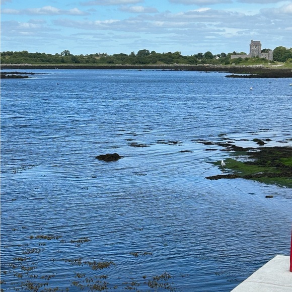 Meet your Posher, Madeline - Picture 1 of 1